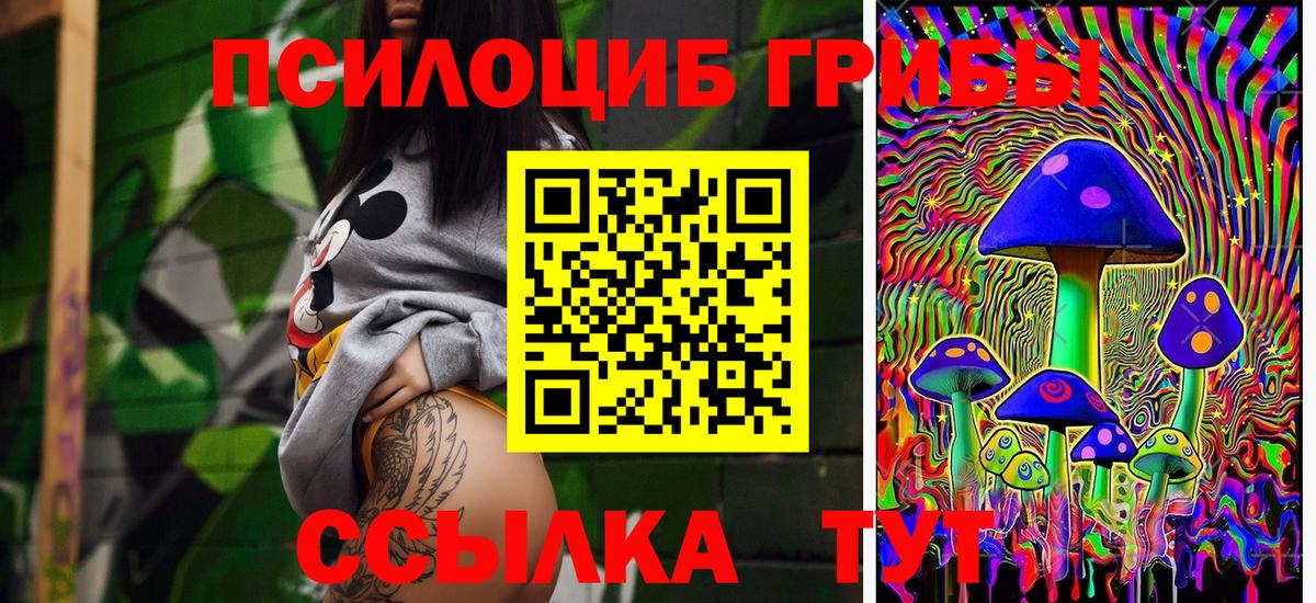 Псилоцибиновые грибы Psilocybe  Вход с VPN  Рыбинск 