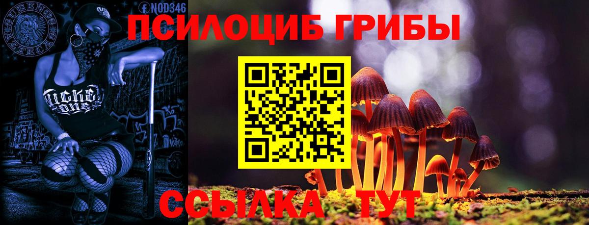 Псилоцибиновые грибы прущие грибы Рыбинск